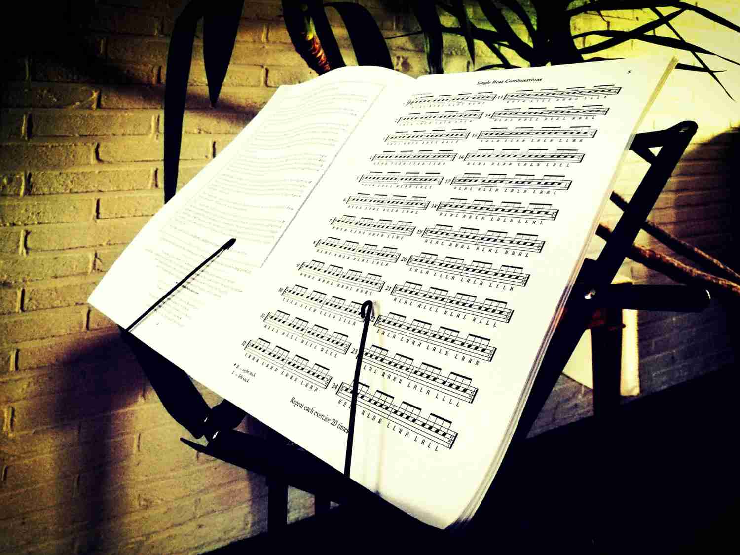 3. partitura muzicala - note muzicale
